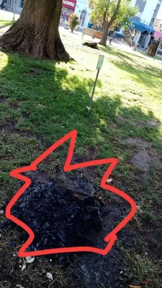 Hicieron fuego en la Plaza Alsina y son blanco de todas las críticas