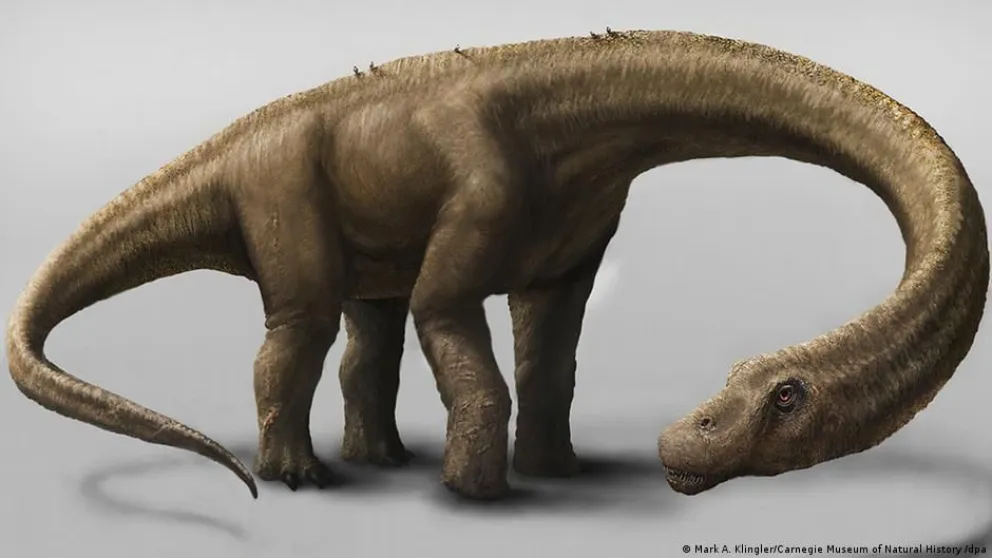 Es oficial: el titanosaurio más antiguo del mundo es argentino y de la Patagonia