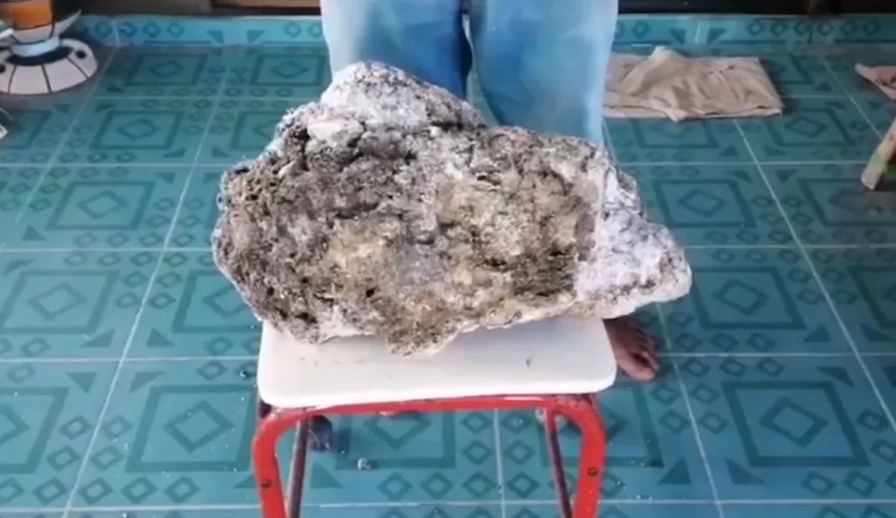 Una mujer se hace millonaria luego de hallar 7 kilos de vómito de cachalote
