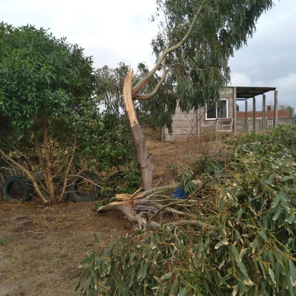Una cola de tornado provocó destrozos en la villa 7 de Marzo