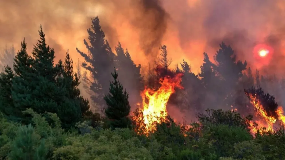 Incendios: Fernández aseguró seguir de cerca lo que ocurre en Río Negro y Chubut