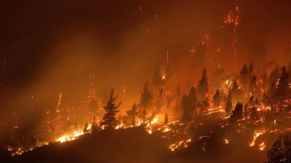 Campaña de donación de la UNRN por los incendios en Zona Andina