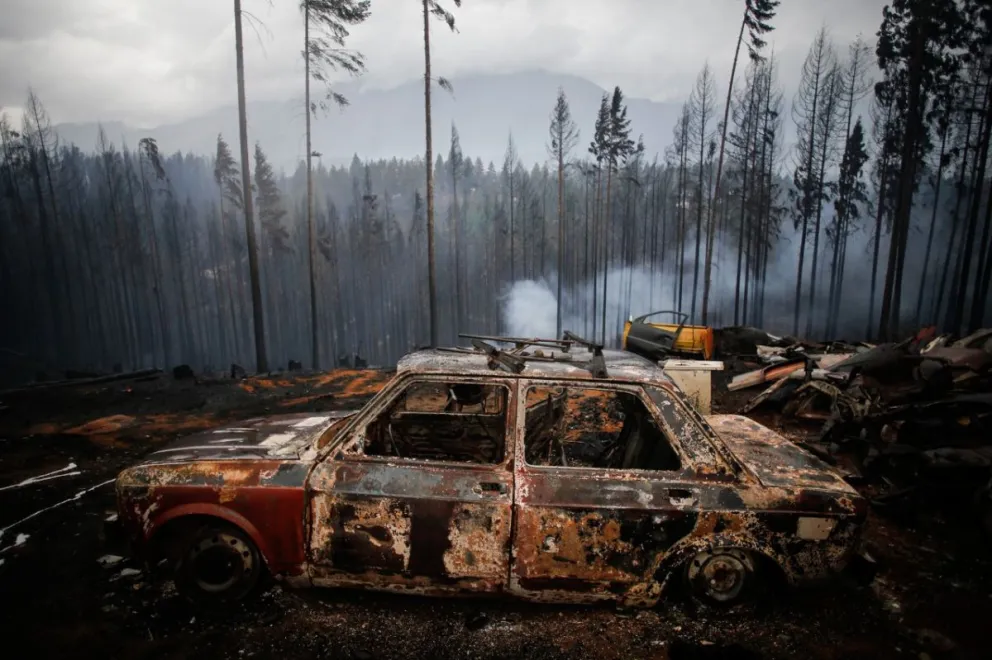 Las impactantes imágenes de lo que provocó el fuego en la Comarca Andina