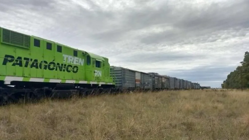 Fletan un vagón especial de Tren Patagónico con donaciones