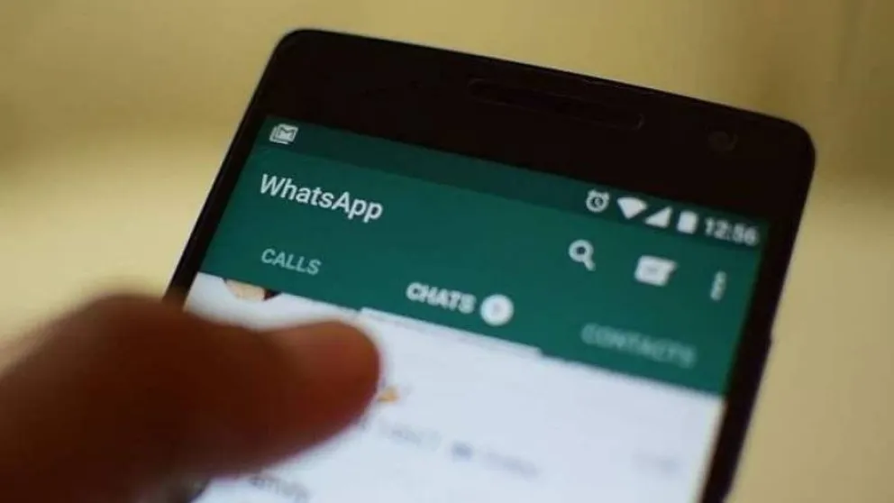 Pelea de vecinos por Whatsapp se volvió viral: "Perdoname, andá a cagar igual"