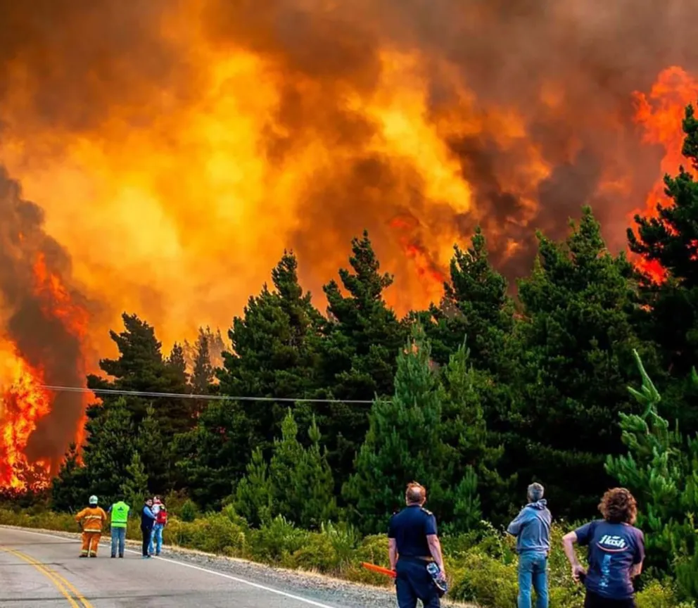 Suárez Colman contra Nación por los incendios: "Se gastan fortunas en circos"
