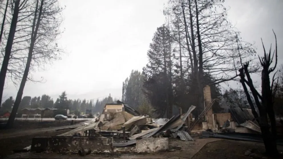 Piden por una ley para preservar las tierras incendiadas