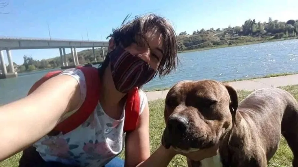 Ofrecen 25 mil pesos por un perro perdido