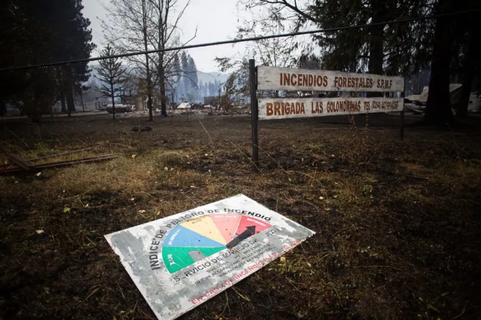 Ofrecen recompensa de 3 millones de pesos por información sobre los incendios