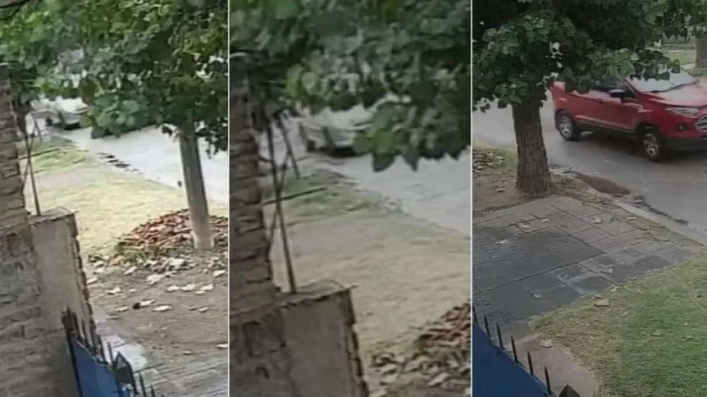 Chofer pensó que lo iban a asaltar, hizo marcha atrás y mató a una pasajera