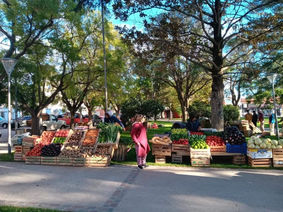 Feria de frutas y verduras en la plaza Alsina