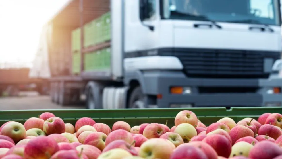 Chacareros refrescan sus proyectos de provisión de alimentos