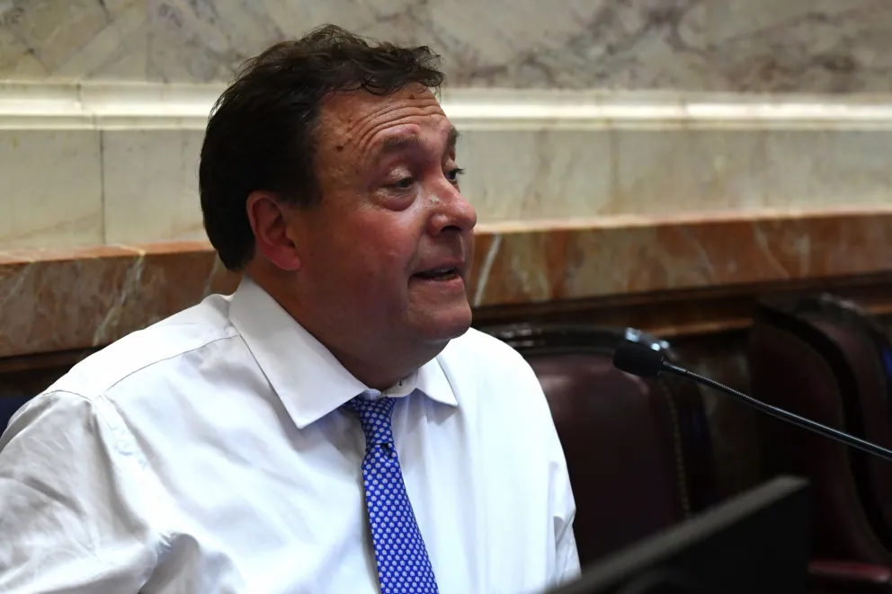 Weretilneck, el senador rionegrino más participativo del Congreso