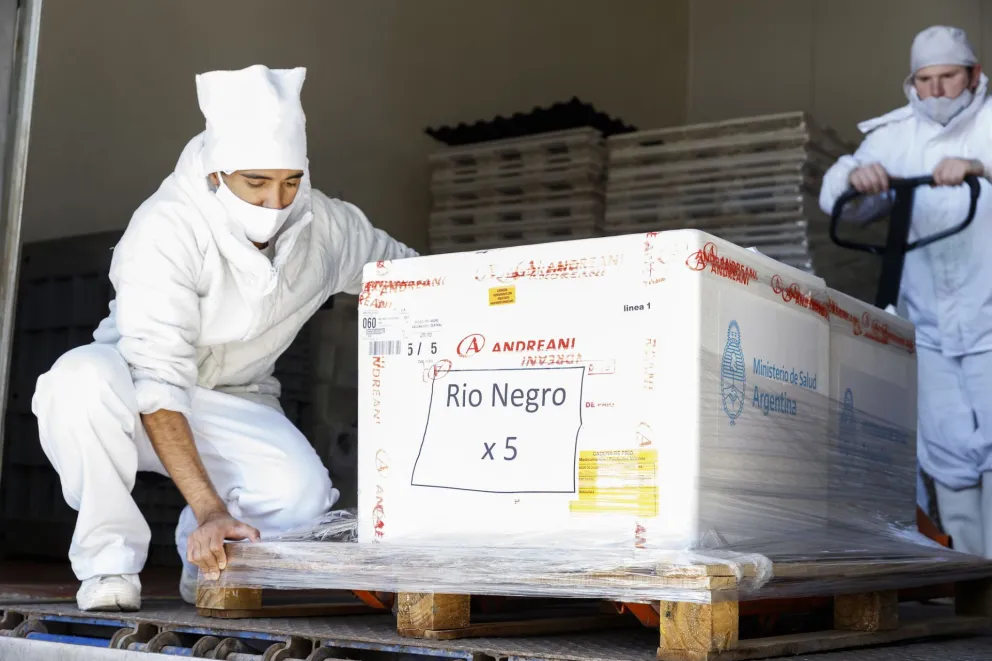 En las próximas horas llegarán 6 mil dosis de la vacuna rusa a Río Negro
