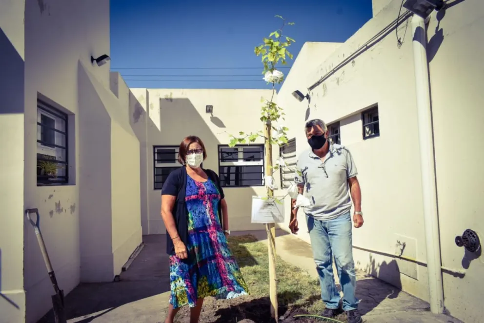 Plantaron un árbol por la memoria en el centro de Salud del barrio Mi Bandera