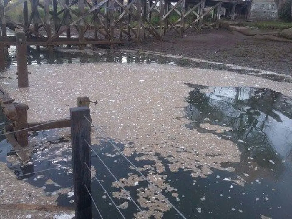 Los muestreos de AIC confirman contaminación en el río Negro y hay preocupación