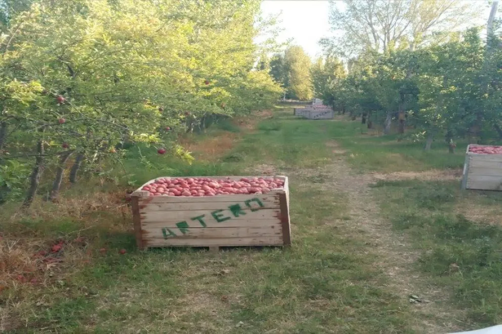 Alto Valle: “Se pudre la comida en un país donde dicen hay necesidad de comida”