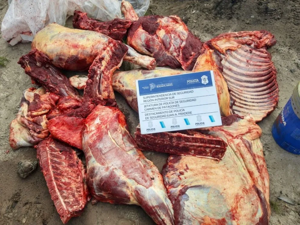 Secuestran un caballo faenado clandestinamente en la zona de Pradere