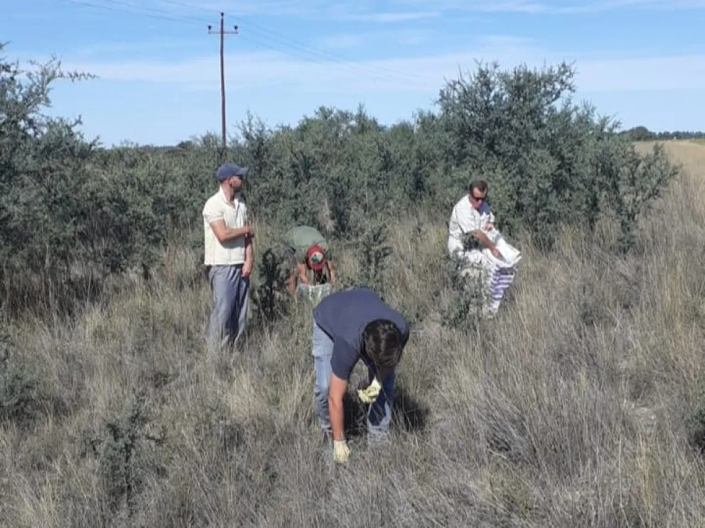 Permite la protección de especies nativas en la zona circundante a Viedma