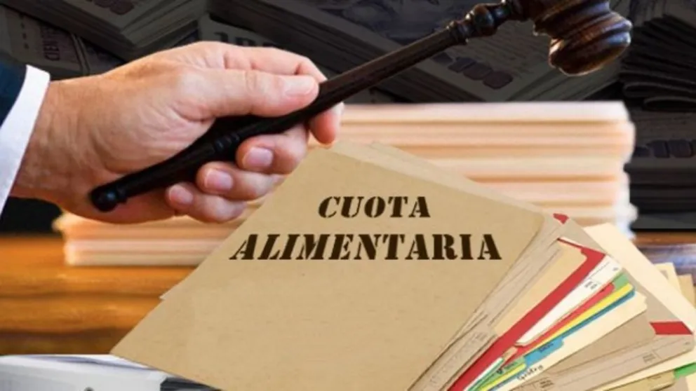 Un padre deberá pagar casi 800 mil pesos por "borrarse"
