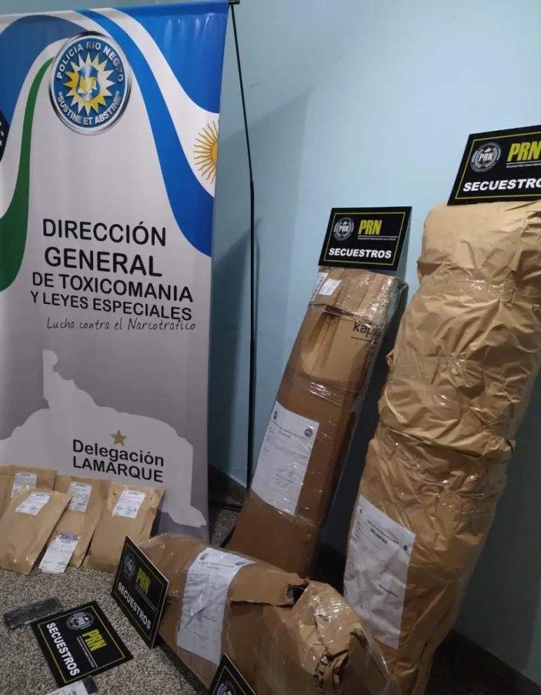 Valle Medio: secuestran plantaciones de marihuana en Darwin y Lamarque