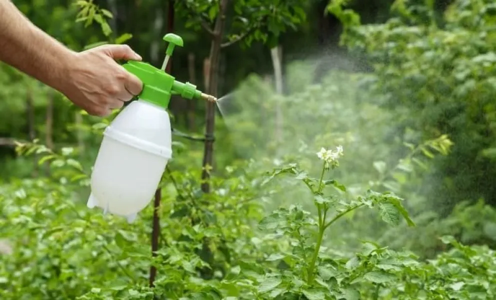 Argentina prohibirá el uso de un popular tipo de insecticida