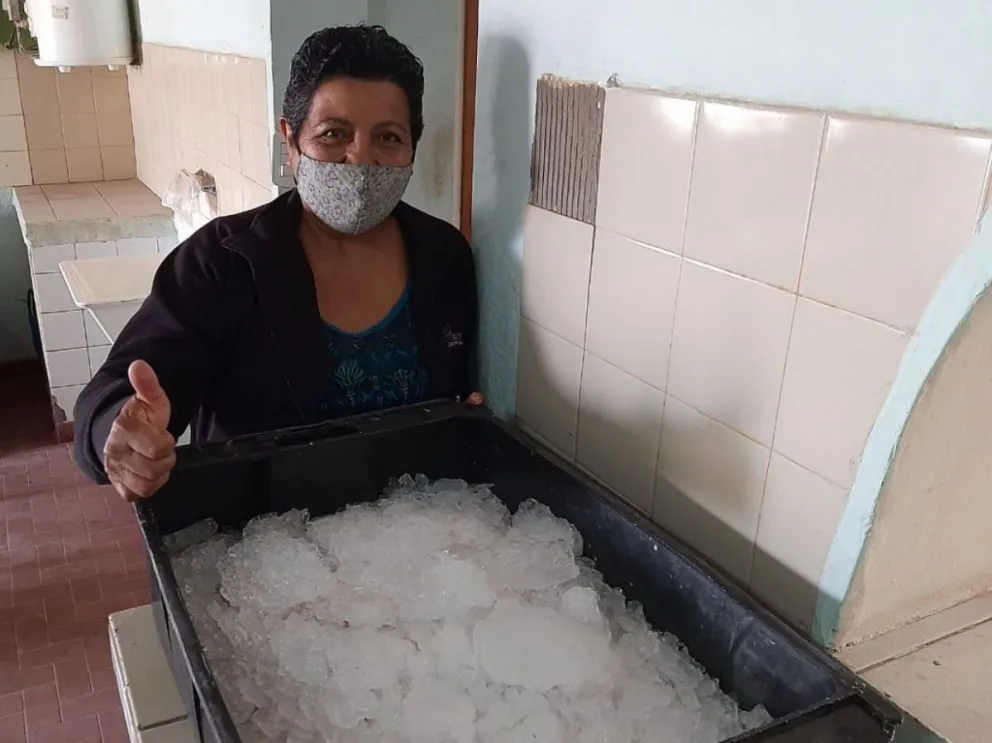 Distribuyen pescado entre adultos mayores de barrios de Viedma