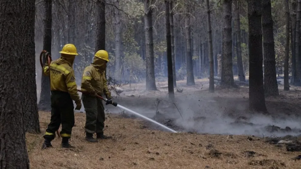 Incendios forestales: Pérdidas millonarias para los productores de la comarca