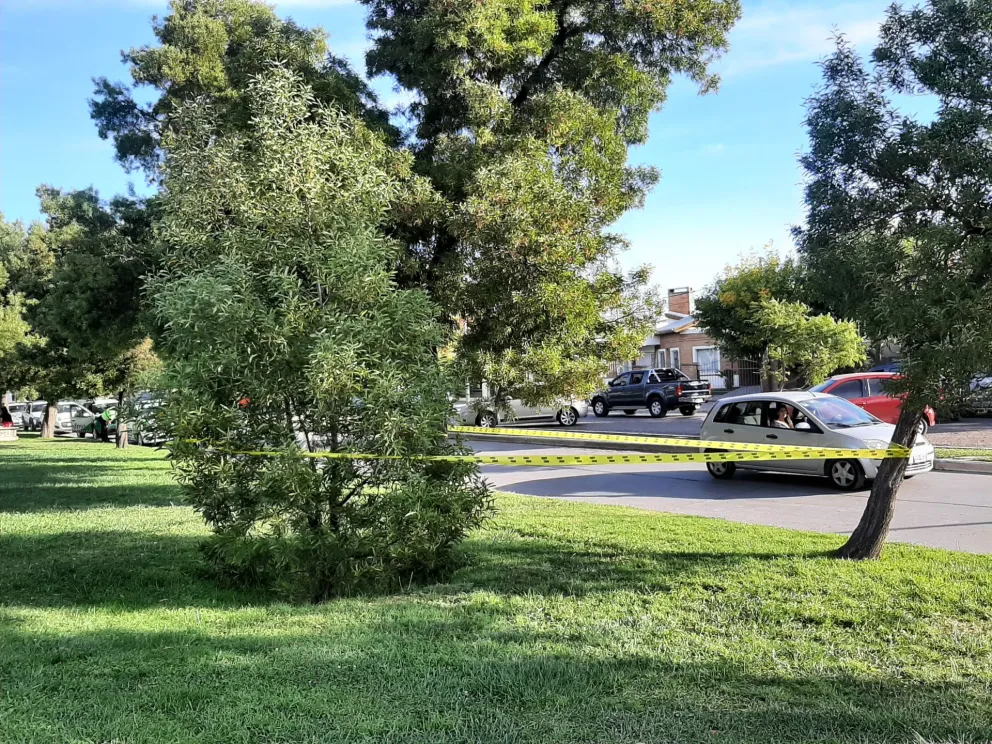 Un niño fue atacado por avispas en la costa y terminó en el hospital