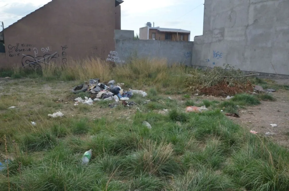 Baldíos, “es increíble la actitud de los vecinos que arrojan basura”