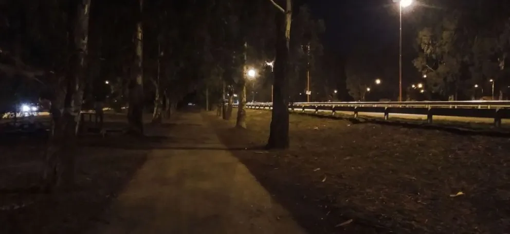 Un delincuente le dio una paliza a una mujer para robarle su bicicleta