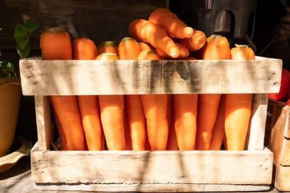 Lo estafaron con zanahorias