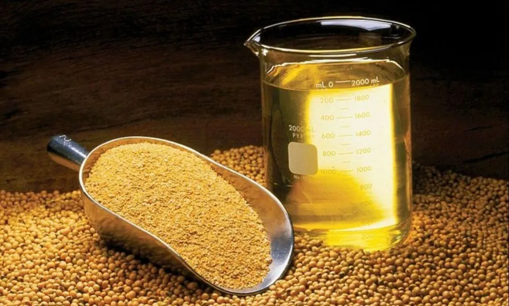 Soja: Argentina vuelve a ser el principal proveedor mundial de harina y aceite
