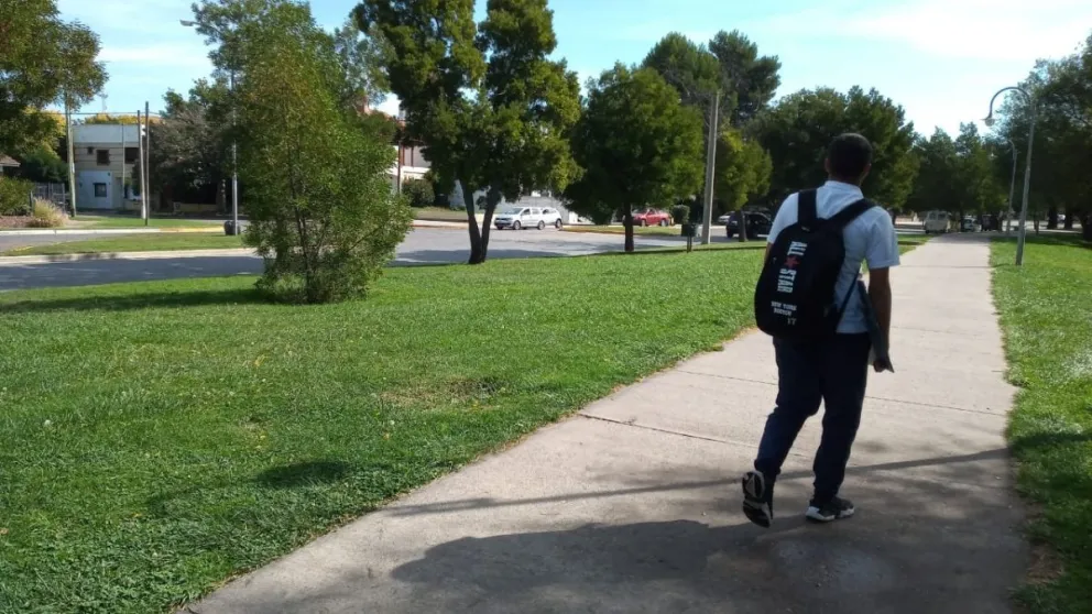 Video: Así es el camino hacia el árbol con avispas en la costanera