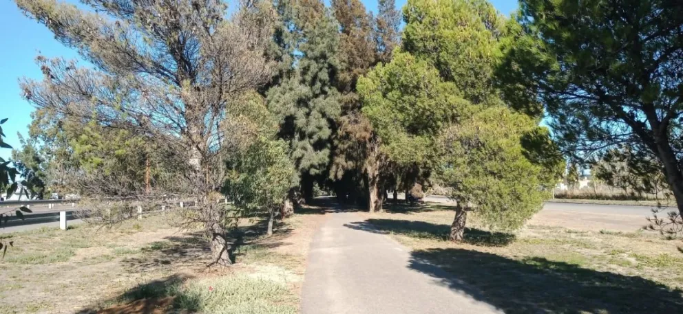 Se produjo un nuevo hecho de inseguridad cerca del CURZA