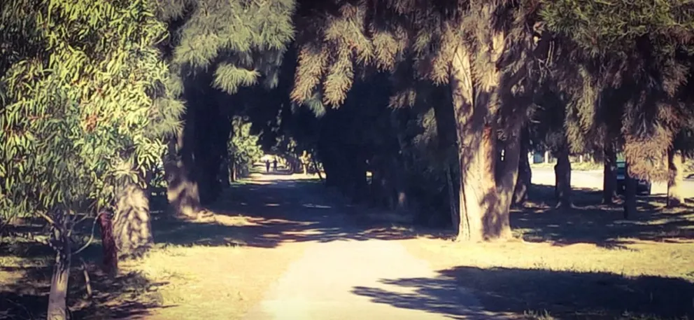 Los caminos cerca del CURZA se convirtieron en una "boca de lobo"