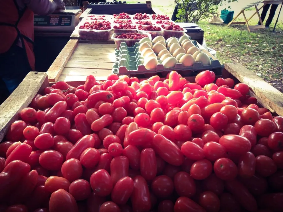 Feria agroecológica: Los vecinos se pueden llenar de verduras por mil pesos