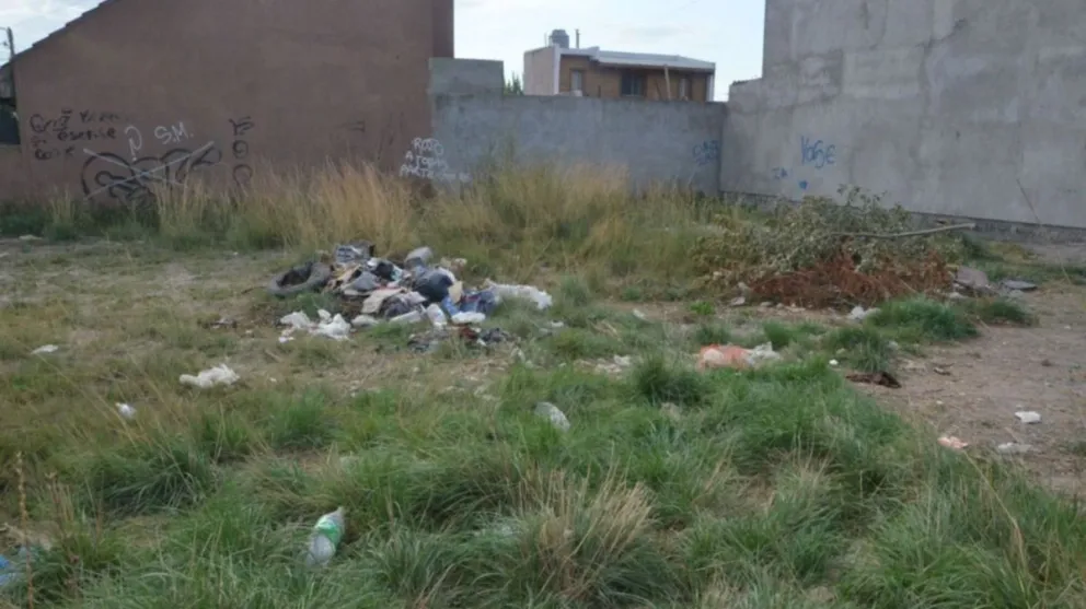 Qué deberes deben hacer los vecinos para no tener baldíos sucios