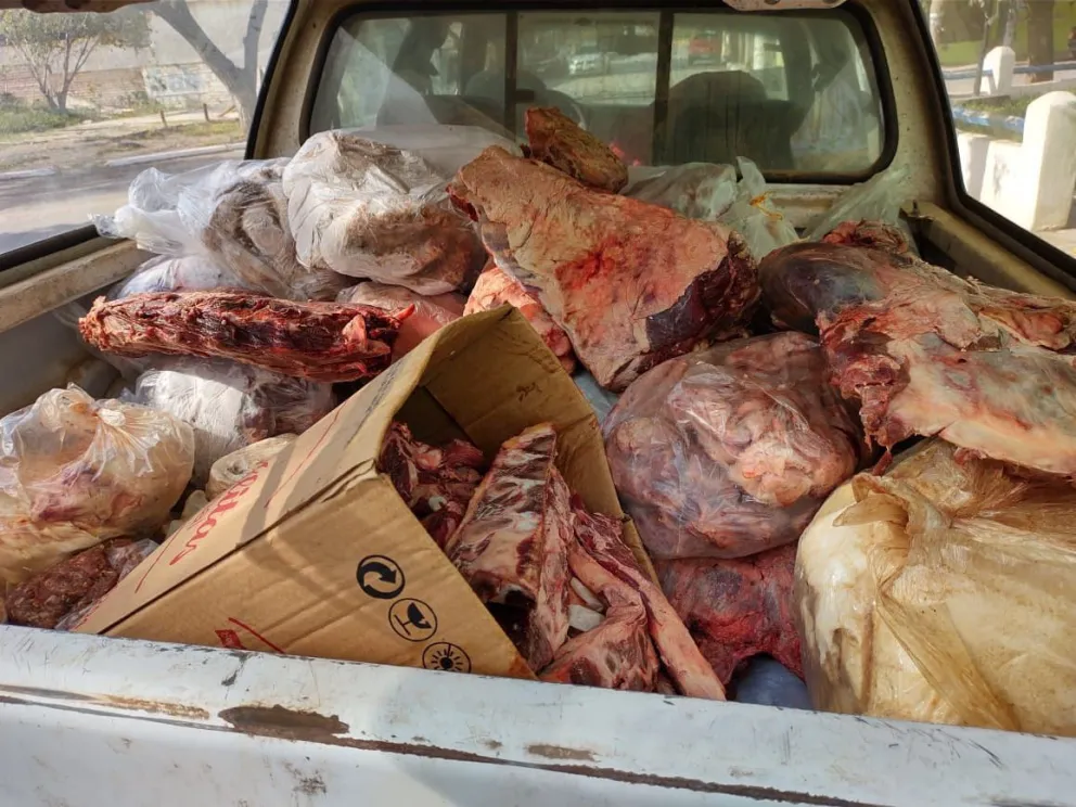 El Cóndor: secuestran más de 400 kilos de carne en fuerte operativo