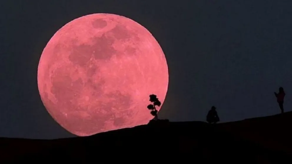 Cómo te afectará la Superluna rosa de abril según tu signo zodiacal