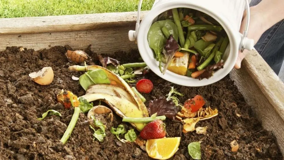 Cómo hacer compost con los residuos orgánicos de tu casa