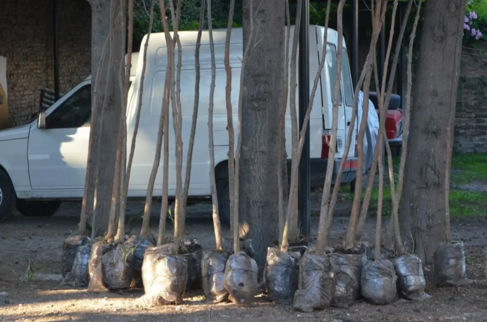 Entregan árboles a instituciones y piden que transmitan conciencia ambiental