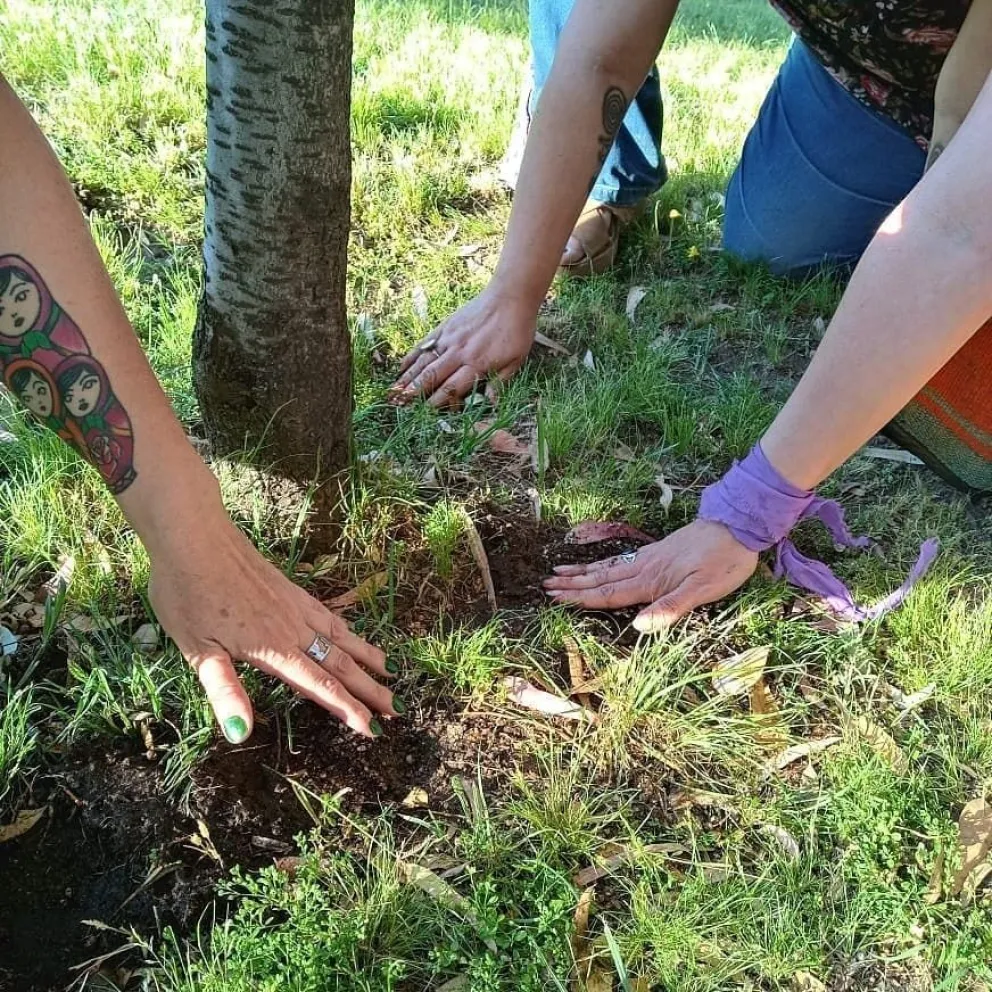 Cannabis: “Muchas veces se mal informa y se estigmatiza al cultivador”