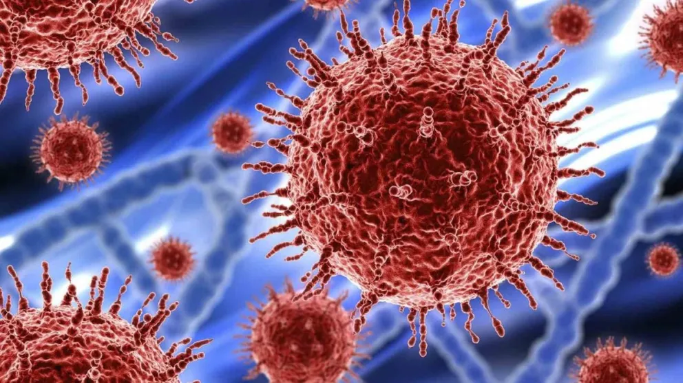 Coronavirus en Argentina: registraron 25.495 nuevos casos y 516 muertes