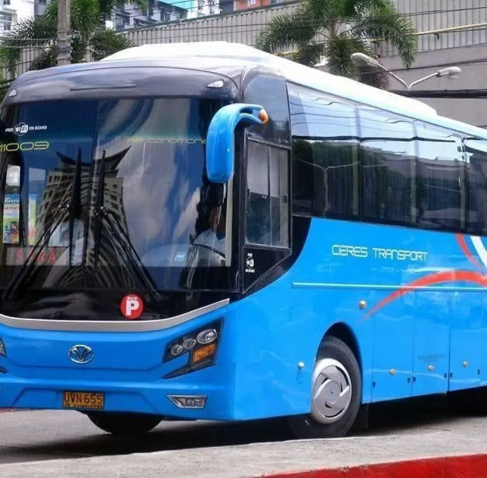 El servicio de transporte entre Bahía Blanca y Carmen de Patagones será diario