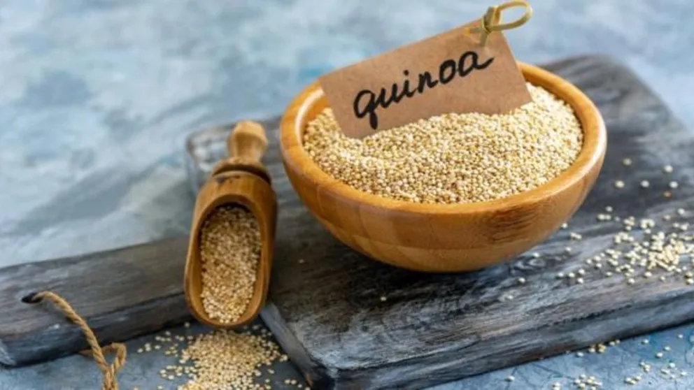 Quinoa: conocé las propiedades de este "superalimento" y cómo prepararla