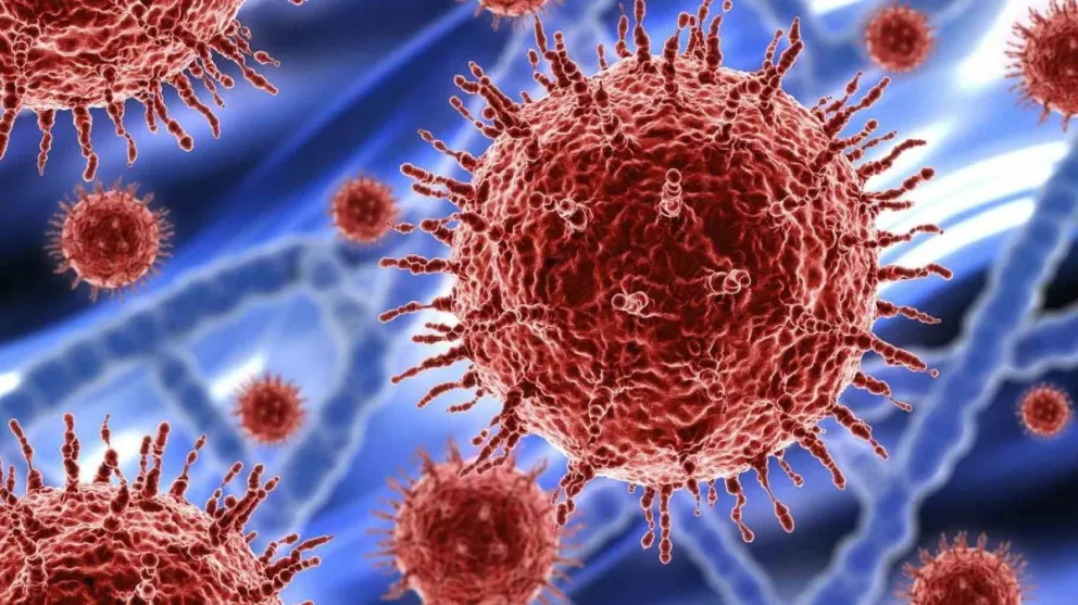 Coronavirus en Argentina: registraron 23.718 nuevos casos y 348 fallecidos