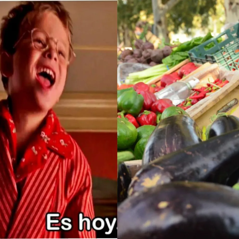 Es hoy: ya se puede concurrir a la feria agroecológica en el Santa Clara