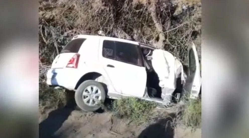 Un taxista se llevó puesto un árbol