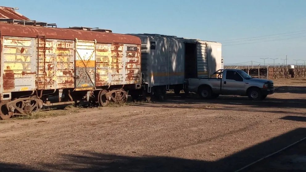Productores agroecológicos de IDEVI transportan toneladas de verduras a Bariloche